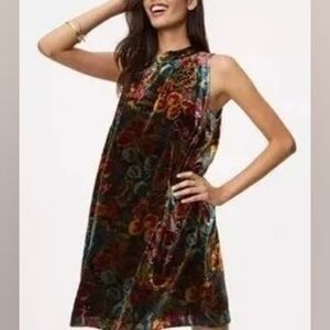 LOFT Floral Velvet Mini Dress
